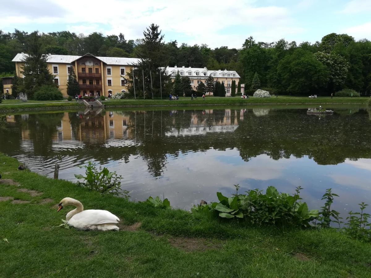 Apartment Naleczowskie Wawozy